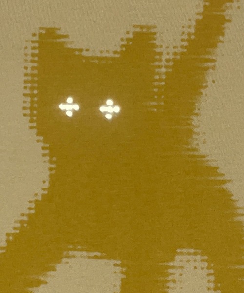 [AEAE]FLASHED CATS EYE CROP T-SHIRTS [黄] [イエロー AEAE] FLASHED CATS EYE CROP T-SHIRTS [Yellow] 正規品 韓国