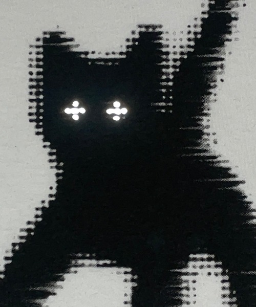 aeae（エーイーエーイー）の「Flashed Cats Eye Crop T-Shirts（Tシャツ/カットソー・レディース・ホワイト/イエロー/スカイブルー/ブラック・FREE）」の10枚目の写真