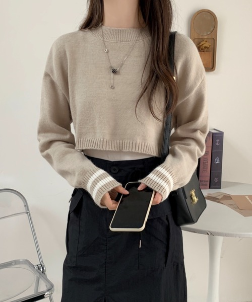 ABITOKYO(アビトーキョー)の「バックリボン袖配色ラインショート丈ニットプルオーバー(ニット/セーター・レディース・ブラック/ベージュ/グレー/アイボリー・FREE)」の6枚目の写真