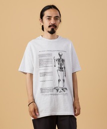 VARIOUS PRINTS "VESALIUS SKELTON"/ヴェアリアス プリンツ "ヴェサリウス スケルトン”