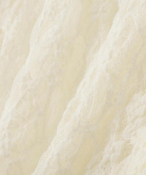 PROPORTION BODY DRESSING（プロポーションボディドレッシング）の「レースシャツ / 1215260803（Tシャツ/カットソー・レディース・ブラウン系その他/ブラック/ホワイト系その他・FREE）」の20枚目の写真