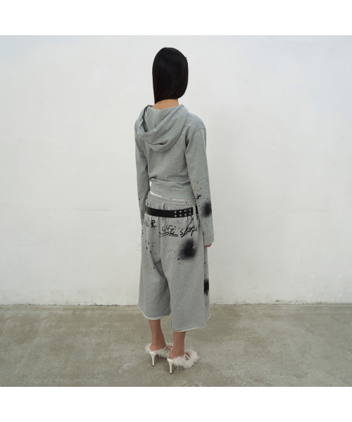 LCDC TM（エルシーディーシーティーエム）の「PRINTED HOODIE ZIP-UP (GREY)（パーカー・レディース・ライトグレー・SMALL/MEDIUM）」の3枚目の写真