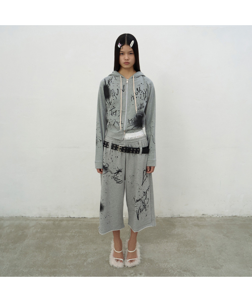 LCDC TM（エルシーディーシーティーエム）の「PRINTED HOODIE ZIP-UP (GREY)（パーカー・レディース・ライトグレー・SMALL/MEDIUM）」の6枚目の写真