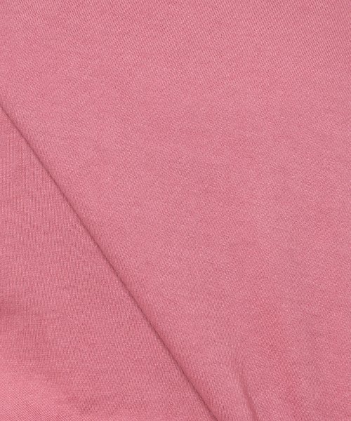 JOURNAL STANDARD relume（ジャーナルスタンダード　レリューム）の「36/-USA 天竺 VネックショートスリーブTシャツ_#（Tシャツ/カットソー・レディース・ホワイト/ピンク/グレー/ベージュ/カーキ・FREE）」の14枚目の写真