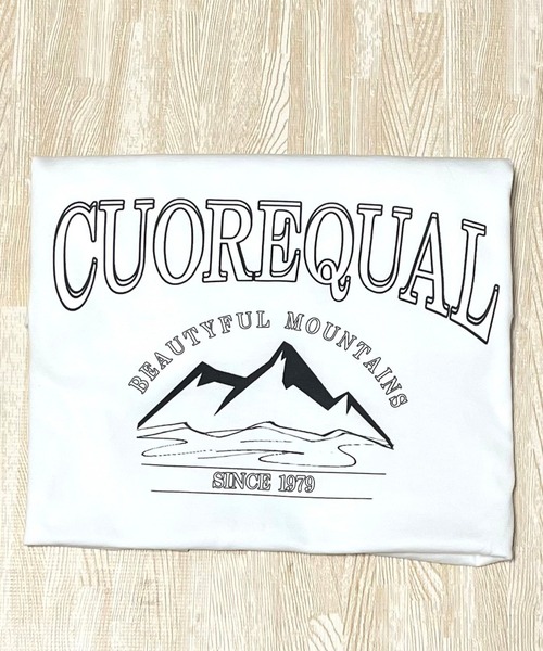 cuorequal（クオレコール）の「CUOREQUAL プリントロングTシャツ（Tシャツ/カットソー・レディース・A/B・MEDIUM/LARGE）」の9枚目の写真