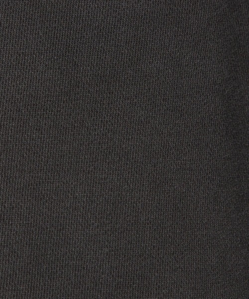 LAKOLE（ラコレ）の「ピグメントパッチロゴプルオーバー / 147686（T