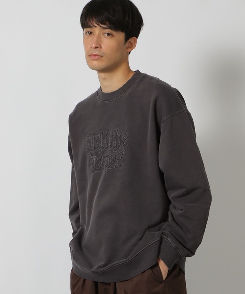 LAKOLE（ラコレ）の「ピグメントパッチロゴプルオーバー / 147686（T