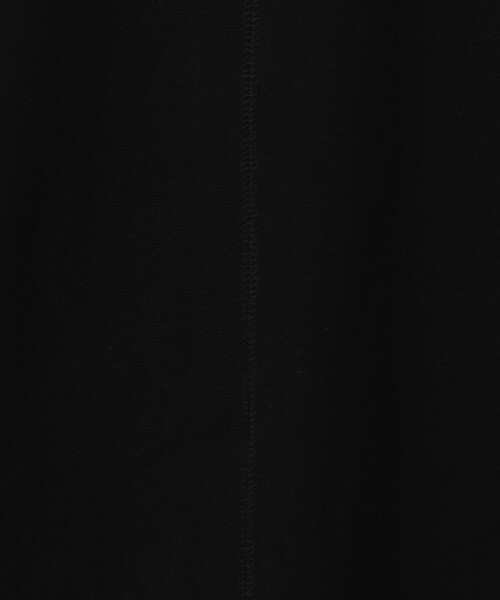 green label relaxing（グリーンレーベルリラクシング）の「シアー レイヤード ワンピース（ワンピース・レディース・ブラック/オフホワイト・FREE）」の20枚目の写真