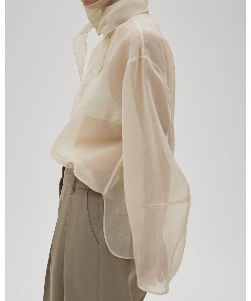 TODAYFUL（トゥデイフル）の「Sheer Tie Blouse（シャツ/ブラウス・レディース・キナリ/ダークブラウン・FREE）」の9枚目の写真