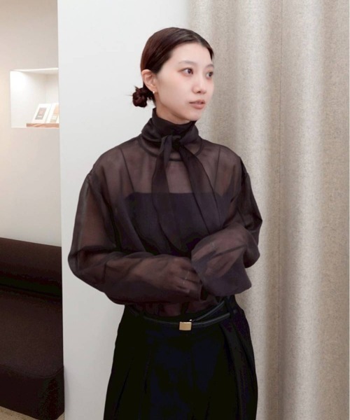 TODAYFUL（トゥデイフル）の「Sheer Tie Blouse（シャツ/ブラウス・レディース・キナリ/ダークブラウン・FREE）」の18枚目の写真