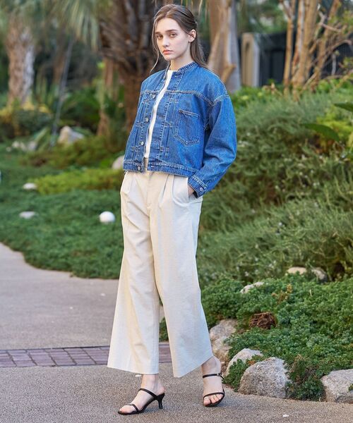 ⭐️美品⭐️DRESSTERIOR ヴィンテージバンドカラーGジャン DRESSTERIOR（ドレステリア）の「【ウォッシャブル】ヴィンテージ