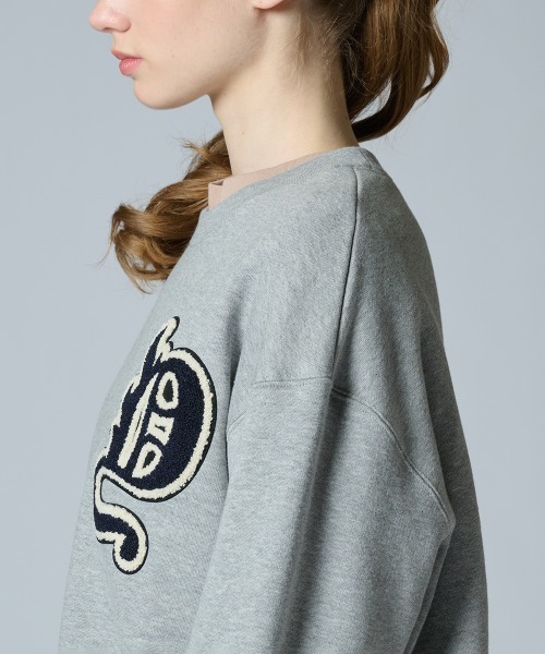 DOUBLE STANDARD CLOTHING(ダブルスタンダードクロージング)の「Dワッペン 裏起毛プルオーバー(WEB限定)(スウェット・レディース・ブラック/グレー・FREE)」の9枚目の写真