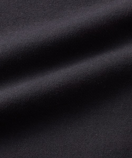 DOUBLE STANDARD CLOTHING(ダブルスタンダードクロージング)の「Dワッペン 裏起毛プルオーバー(WEB限定)(スウェット・レディース・ブラック/グレー・FREE)」の18枚目の写真