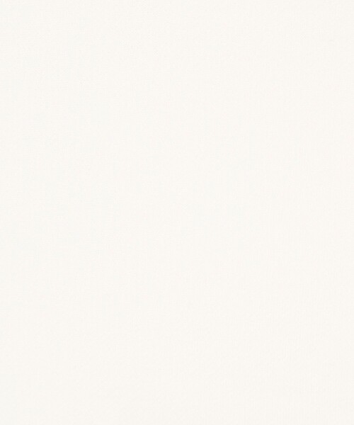 NOLLEY’S（ノーリーズ）の「【WEB限定】ウォッシャブルシャツスリーブスウェットプルオーバー（Tシャツ/カットソー・レディース・グレー/オフホワイト・FREE）」の19枚目の写真