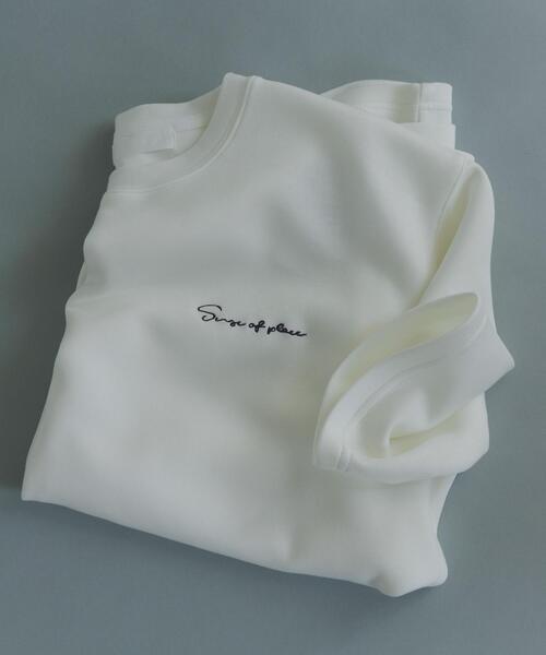 SENSE OF PLACE by URBAN RESEARCH（センスオブプレイスバイアーバンリサーチ）の「『一部WEB限定カラー』『接触冷感/速乾』シシュウダンボールポンチショートスリーブTシャツ（Tシャツ/カットソー・メンズ・ブラウン/イエロー/ブラック/チャコールグレー/ライトベージュ/グリーン/ホワイト・LARGE/MEDIUM）」の2枚目の写真