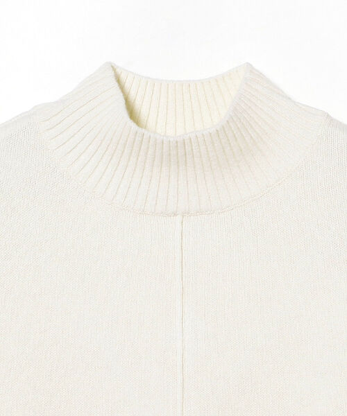 Ray BEAMS（レイビームス）の「Ray BEAMS / センターシーム ハイネック ニット（ニット/セーター・レディース・ダークブラウン/サックスブルー/オフホワイト・ONE SIZE）」の19枚目の写真