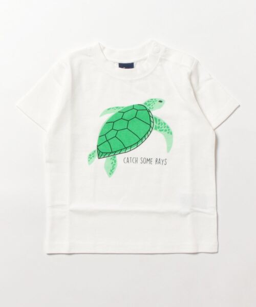 Crescent(クレッセント)の「海の生き物プリント半袖Tシャツ(Tシャツ/カットソー・キッズ・その他7/その他1/ピンク/その他3/グリーン・80/130/110/100/90/120/95)」の4枚目の写真