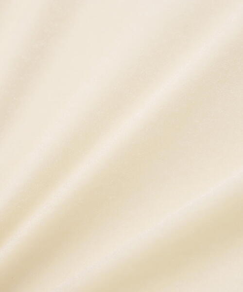 NATURAL BEAUTY BASIC（ナチュラルビューティーベーシック）の「◇ベロアアメスリトップス（タンクトップ・レディース・オフホワイト/ブラック/ベージュ・FREE）」の17枚目の写真