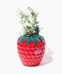 Adam Silverman (Heath Ceramic) フラワーベース 279: ADAM SILVERMAN, Vase < Post War & Contemporary Ceramics