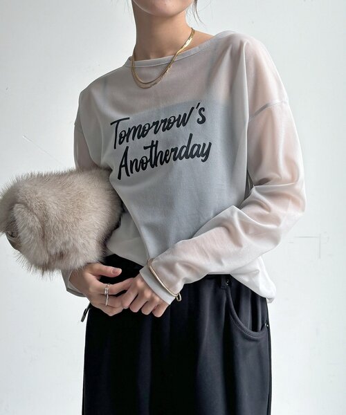 DouDou(ドゥドゥ)の「【WEB限定】シアーロゴTEE(Tシャツ/カットソー・レディース・グレイッシュベージュ/オフホワイト・FREE)」の1枚目の写真