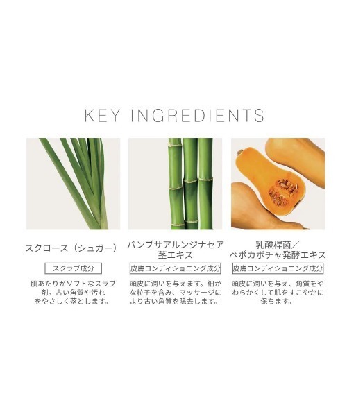 john masters organics(ジョンマスターオーガニック)の「S&TスキャルプEスクラブ(シュガーケーン&ティーツリー)(シャンプー・レディース・その他・FREE)」の3枚目の写真