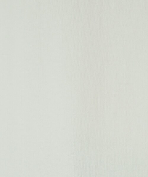 DRESKIP(ドレスキップ)の「◆【洗える】抜け感ある着こなしに ドロップショルダーゆるロンT(Tシャツ/カットソー・レディース・オフホワイト/ホワイト系5/ブラック/ライトベージュ/グリーン/ベージュ系2・02/03/04)」の20枚目の写真