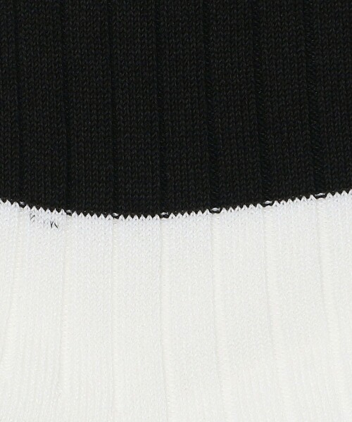 MONKEY TIME（モンキータイム）の「リブ パネルライン ソックス（ソックス/靴下・メンズ・ホワイト/ブラック・FREE）」の5枚目の写真