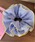 TONE SELECT GOODS�i�g�[���Z���N�g�O�b�Y�j�́u�yurge select�z�M���K���`�F�b�N �o�C�J���[�p�C�s���O �t�����V���V���i�V���V���j�v�b�u���[