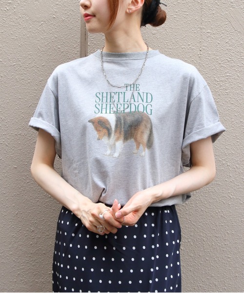 THE SHINZONE/シンゾーン シェットランドシープドッグTEE THE SHETLAND