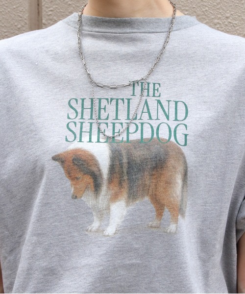 THE SHINZONE/シンゾーン シェットランドシープドッグTEE THE SHETLAND