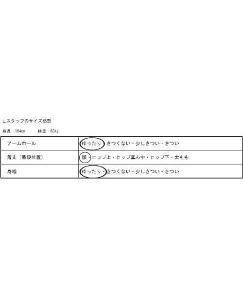 antiqua(アンティカ)の「タックプリーツ風スリーブトップス(シャツ/ブラウス・レディース・ベージュ系その他/ブラック・FREE)」の6枚目の写真