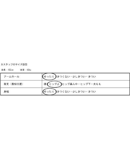 antiqua(アンティカ)の「タックプリーツ風スリーブトップス(シャツ/ブラウス・レディース・ベージュ系その他/ブラック・FREE)」の8枚目の写真