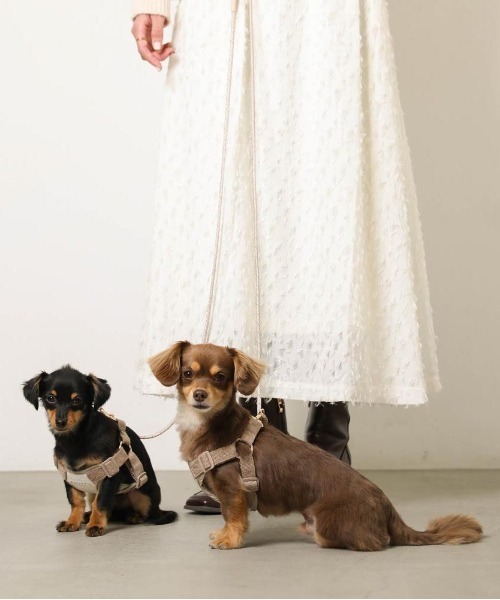 moncheri（モンシェリ）の「2wayミックスカラー反射リード（リード/ハーネス/首輪・レディース・モカ/アイボリー/ブルー/ピンク/グリーン・FREE/S/M）」の18枚目の写真