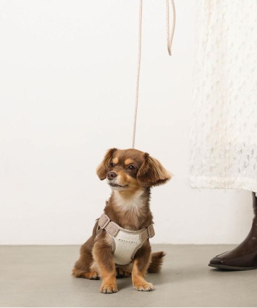 moncheri（モンシェリ）の「2wayミックスカラー反射リード（リード/ハーネス/首輪・レディース・モカ/アイボリー/ブルー/ピンク/グリーン・FREE/S/M）」の20枚目の写真