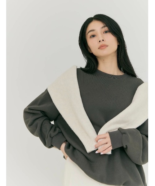 BLUE×PALANG(ブルーパラン)の「LOGO SWEATSHIRT(スウェット・レディース・ロイヤルブルー/チャコール/アクア/ライトブルー/ネイビー・FREE)」の16枚目の写真