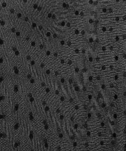 HARE(ハレ)の「ドットガラシアーT(HARE)(Tシャツ/カットソー・レディース・ホワイト/ブラック・FREE)」の12枚目の写真