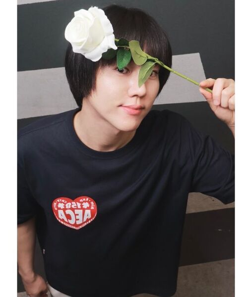 AECA（エイカ）の「AECA LOVE HALF SLEEVE-NAVY（Tシャツ/カットソー・レディース・その他・SMALL/MEDIUM/LARGE/X-LARGE/W）」の6枚目の写真