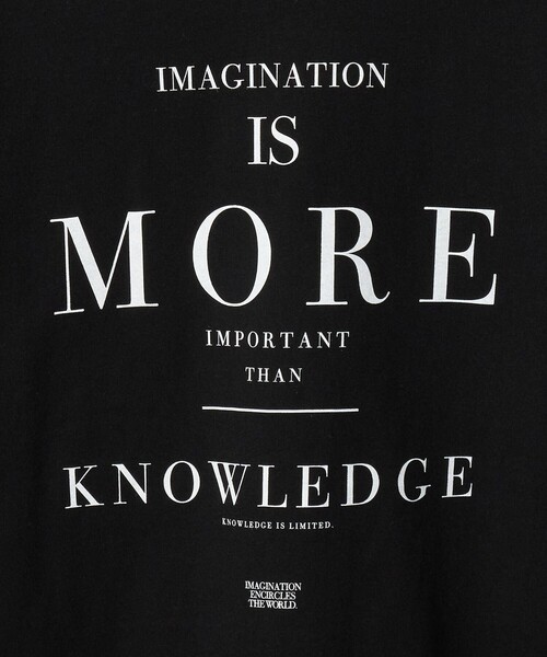 ESPOIR(エスポワール)の「<ESPOIR> IMAGINATION TEE/Tシャツ(Tシャツ/カットソー・メンズ・ブラック/ホワイト・M/L)」の6枚目の写真