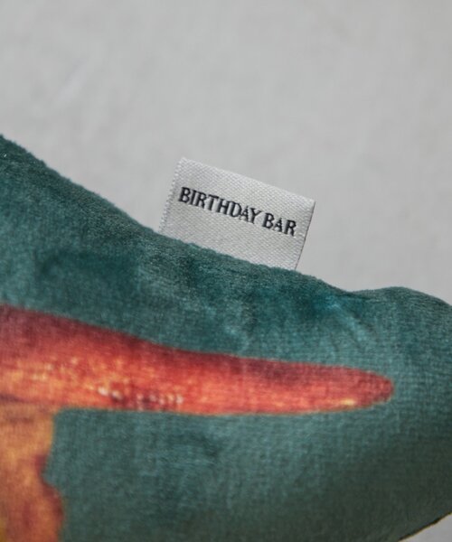 BIRTHDAY BAR(バースデイバー)の「ヤキトリ クッション(クッション/クッションカバー・レディース・グリーン・0)」の7枚目の写真