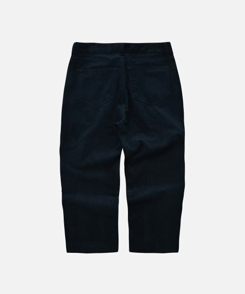 FRIZMWORKS(フリズムワークス)の「CORDUROY COMFORT TWO TUCK PANTS _ NAVY(その他パンツ・メンズ・その他・MEDIUM)」の2枚目の写真