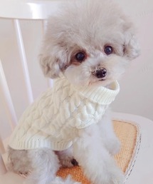 Dalfwin（ダールフィン）の「ペットウェア ケーブル編みニット（ペットウェア）」