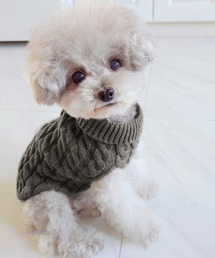 Dalfwin（ダールフィン）の「ペットウェア ケーブル編みニット（ペットウェア）」