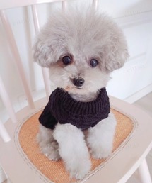 Dalfwin（ダールフィン）の「ペットウェア ケーブル編みニット（ペットウェア）」
