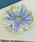 TONE SELECT GOODS�i�g�[���Z���N�g�O�b�Y�j�́u�yurge select�z�X�g���C�v�� �J���[�p�C�s���O �t�����V���V���i�V���V���j�v�b�u���[�n