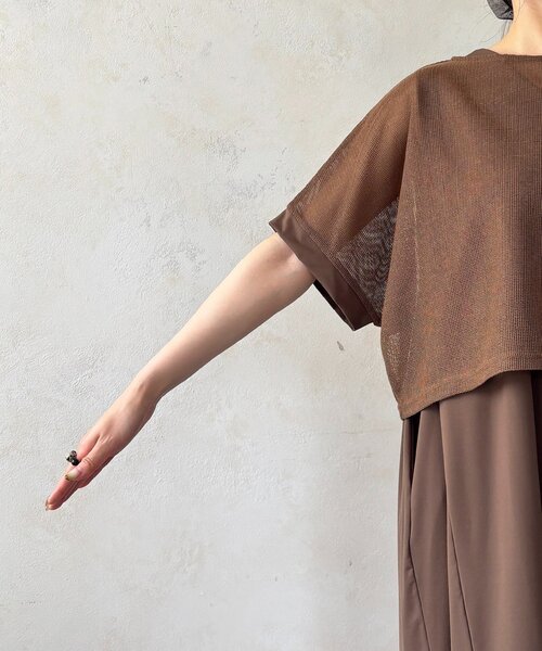un dix cors(アンディコール)の「メッシュプルオーバー×ショルダータックワンピース(ワンピース・レディース・グレイッシュベージュ/ブラック/ブラウン・FREE)」の4枚目の写真