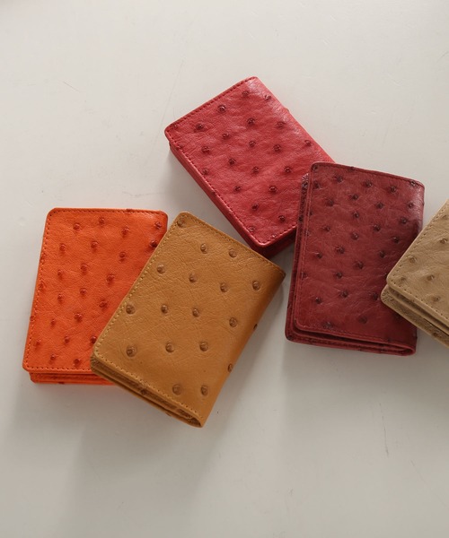 楽天市場】オーストリッチ 名刺入れ メンズ カード入れ 約50枚収納