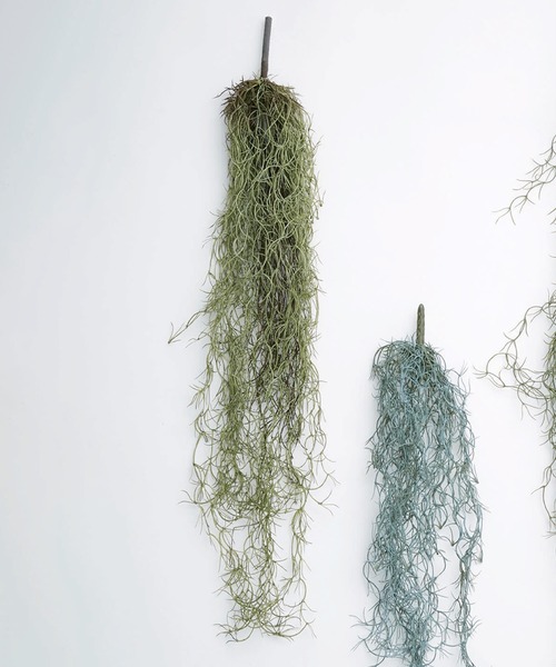 journal standard Furniture （ジャーナルスタンダードファニチャー）の「【Brown./ブラウン】スパニッシュモス ハンギングブッシュ グリーン 77（インテリア雑貨・レディース・グリーン・FREE）」の2枚目の写真