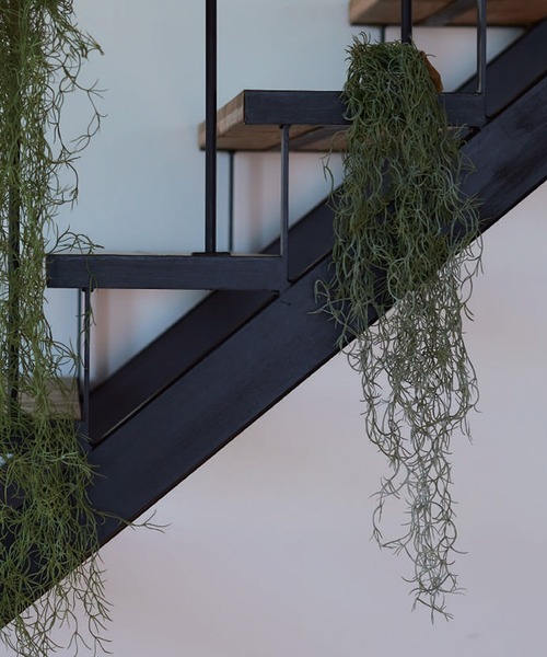 journal standard Furniture （ジャーナルスタンダードファニチャー）の「【Brown./ブラウン】スパニッシュモス ハンギングブッシュ グリーン 77（インテリア雑貨・レディース・グリーン・FREE）」の3枚目の写真