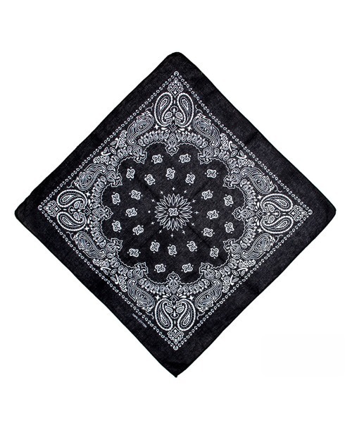 WARAIJOGO】ペイズリーバンダナ/スカーフ55×55cm(NEZ)（バンダナ