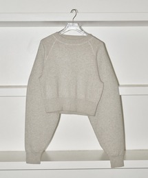 トップス Todayful compact raglan knit TODAYFUL（トゥデイフル）の「【TODAYFUL/トゥデイフル】Compact
